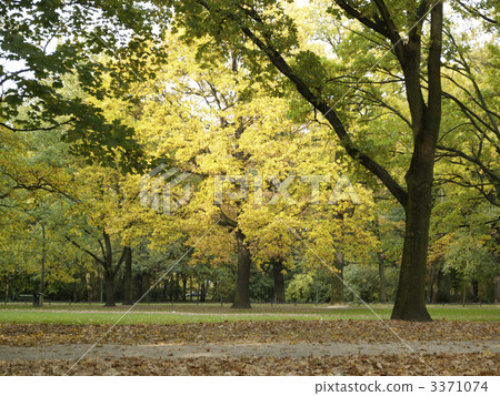 落在柏林2 3371074