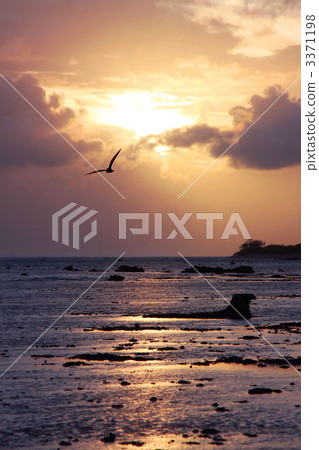 倫吉拉環礁 法屬波利尼西亞 地平線 3371198