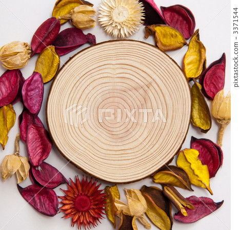 circle, circular, circular form 3371544