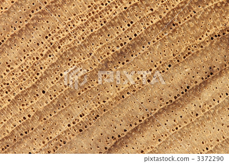 Teak wood 3372290