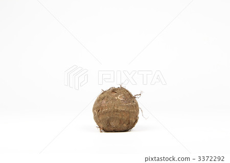 Taro 3372292