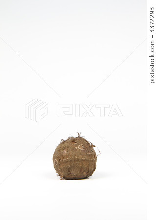 Taro Taro 3372293