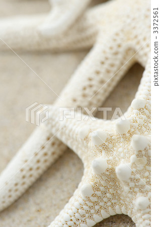 objet, figurehead, object placed in tokonoma 3372561