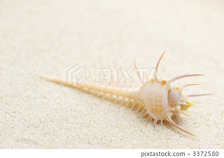 主題 題材 暑假 3372580