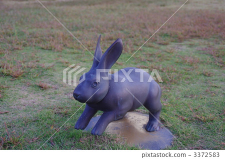 白兔子 兔子 兔 3372583