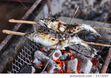 加鹽燒烤或烤製 櫻鱒魚 秋之美食 3373097