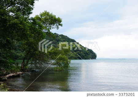 琵琶湖 琵琶湖 3373201