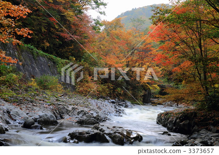 Nakatsugawa Valley 3373657