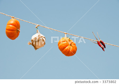 萬聖節護身符 3373802