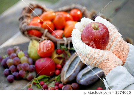 the taste of autumn, fruit, fruits 3374060