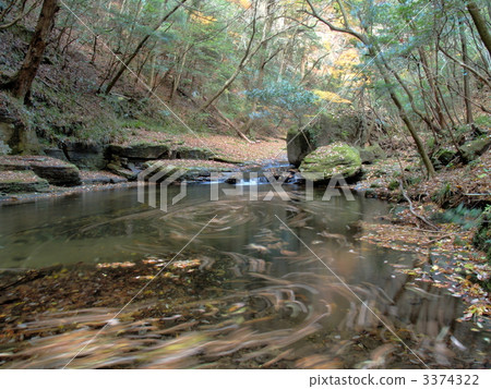 Rotating fallen leaves Rotating fallen leaves 3374322
