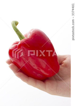 拿著辣椒粉的手 3374481