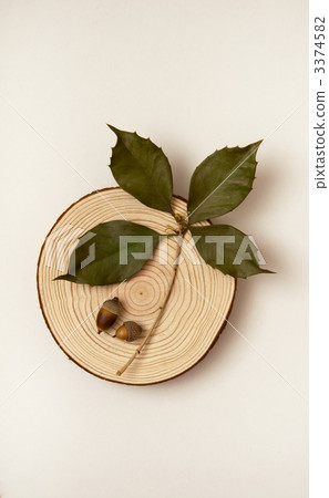 樹葉 堅果 螺母 3374582