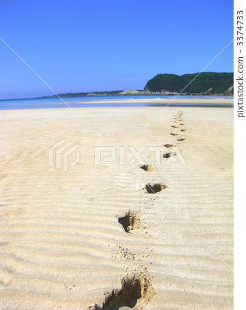 A foot after a sandy beach 3374733