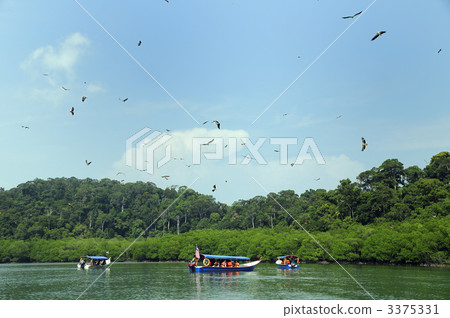 87750 Langkawi Island Eagle 3375331