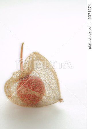 Late autumn Hoofi longitudinal position 3375674