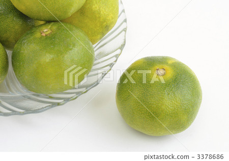 藍色的橘子 藍色的橘子 3378686