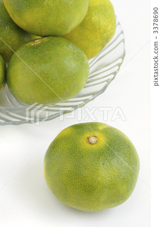 藍色的橘子 藍色的橘子 3378690