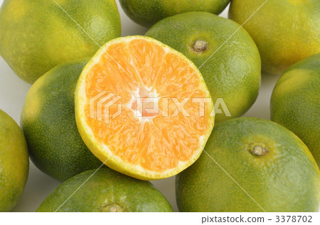 藍色的橘子 3378702