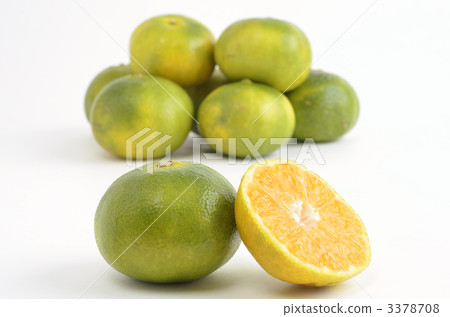 Blue oranges 3378708