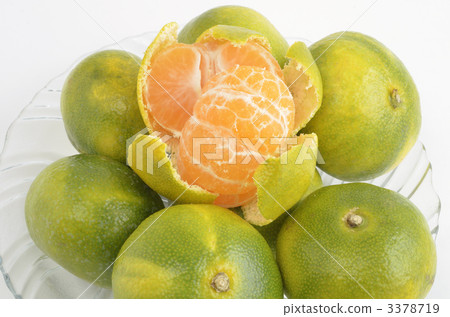 藍色的橘子 3378719