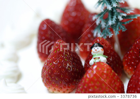 Strawberry shortcake (up) 3378736