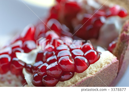 pomegranate pomegranate 3378877