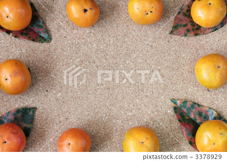 persimmon, japanese persimmon, frame 3378929