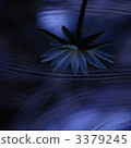 睡蓮 漣漪 波紋 3379245