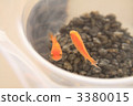 金魚 3380015