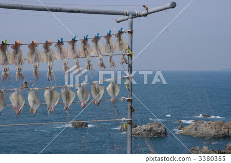 隔夜魷魚魷魚乾魷魚 3380385