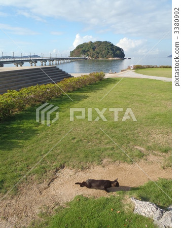 竹島的全景 竹島的全景 3380992