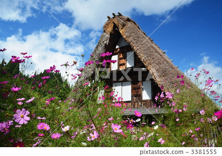 House with a couple that is colored by cosmos 3381555
