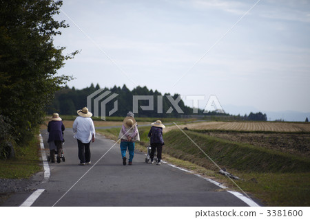 散步 散步 3381600