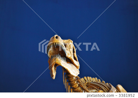 Tyrannosaurus 3381952