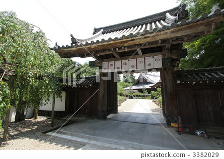 honbo, hase-dera, shrines and temples 3382029