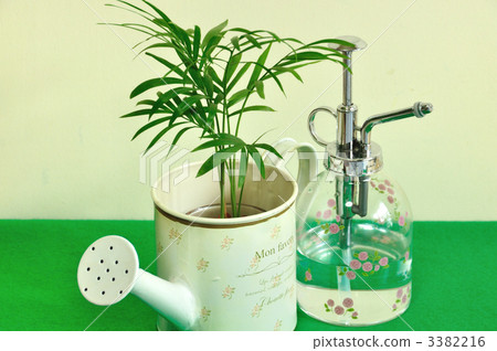 Table palm Table palm 3382216