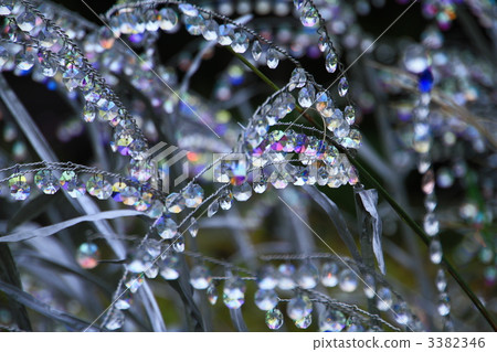 Sengokuhara Sengokuhara 3382346