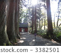 Togakushi神社 3382501
