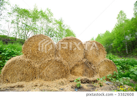 草卷 草卷 3382608