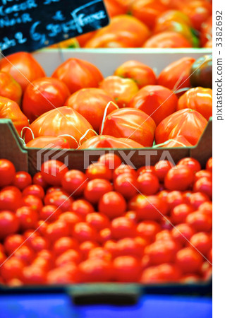 Tomatoes sold in Marche in Paris Tomatoes sold in Marche in Paris 3382692