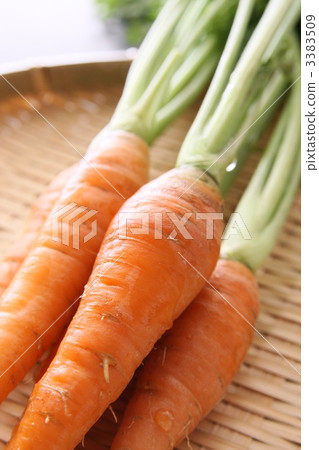 Carrots	 3383509