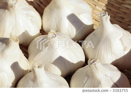 Domestic garlic Garlic Fukuchi White 3383755