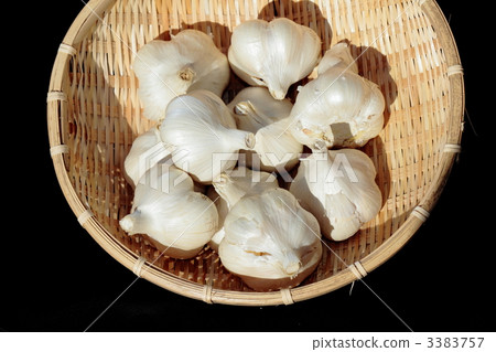 Domestic garlic Garlic Fukuchi White 3383757
