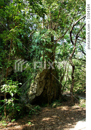 Funami Utagi 3384164