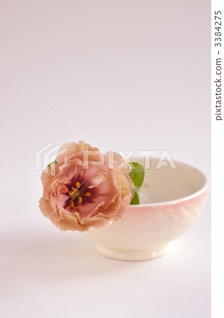 turkey bellflower and vessel, flowers and vessel, cafe au lait ball and turkey bellflower 3384275