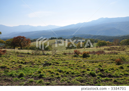 tsumagoi ranch, plateau, highland 3384701