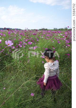 嬰兒 寶寶 寶貝 3384732