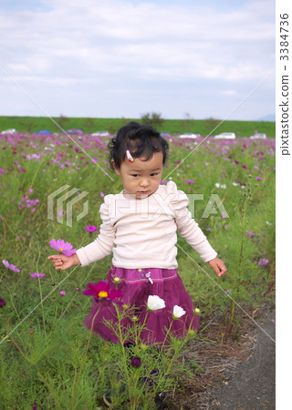 one side, front page, one surface 3384736