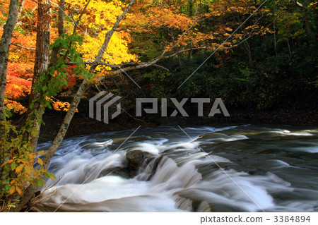 山溪 山澗 水面 3384894